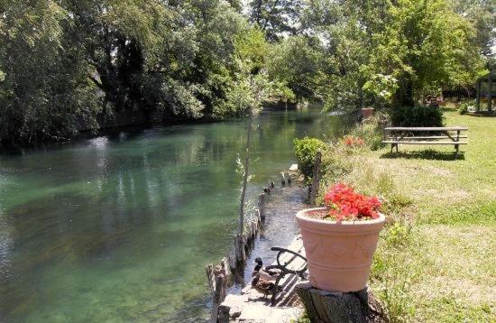 Mas Le Pont Des Aubes Bed & Breakfast ลีล-ซูร์-ลา-ซอร์ก ภายนอก รูปภาพ
