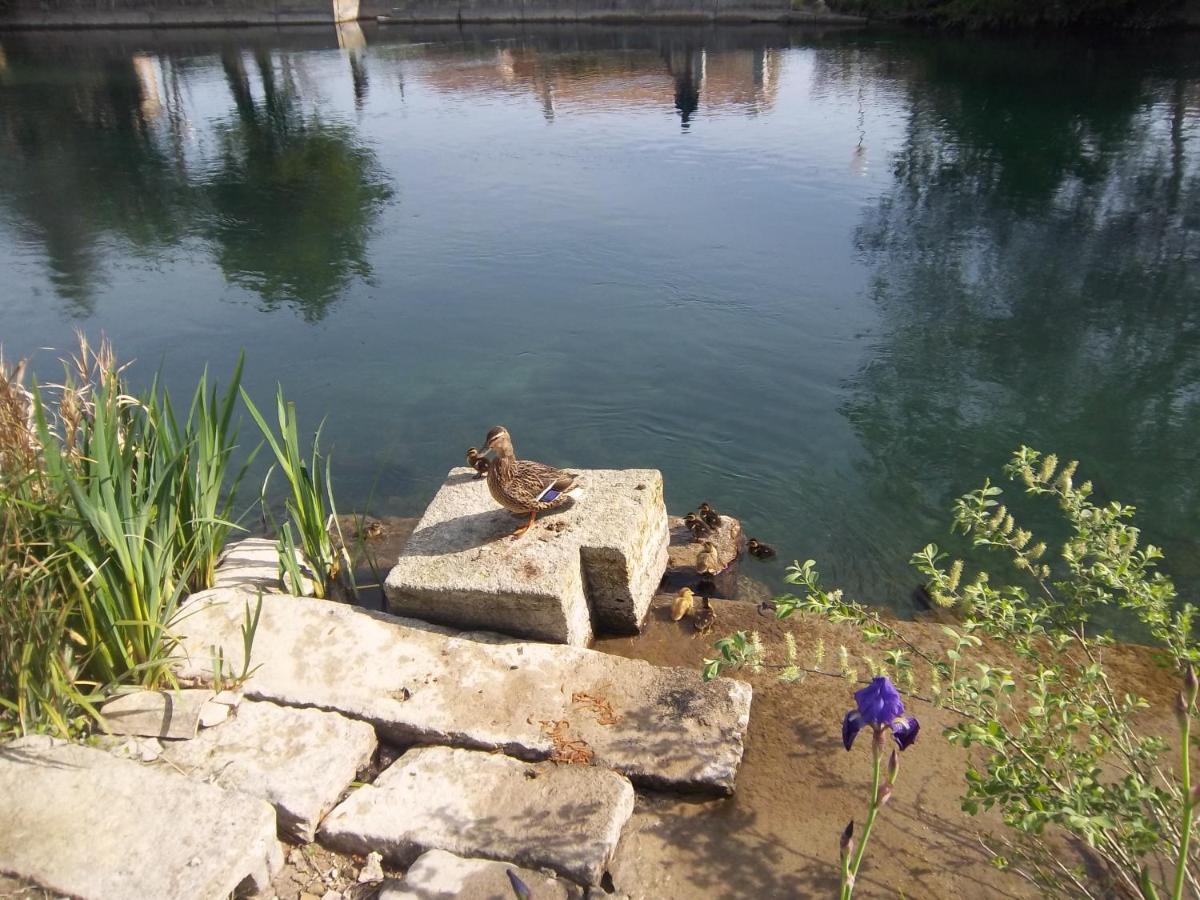 Mas Le Pont Des Aubes Bed & Breakfast ลีล-ซูร์-ลา-ซอร์ก ภายนอก รูปภาพ