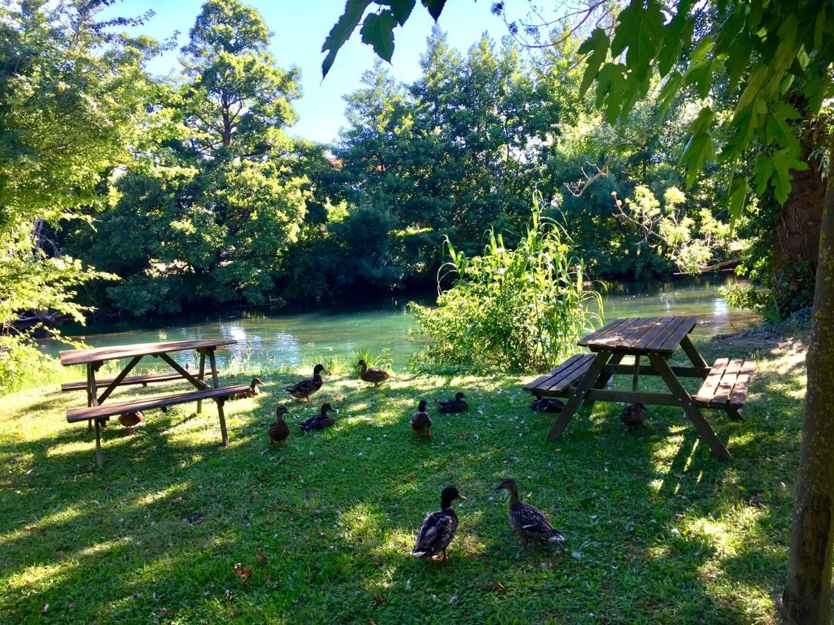 Mas Le Pont Des Aubes Bed & Breakfast ลีล-ซูร์-ลา-ซอร์ก ภายนอก รูปภาพ